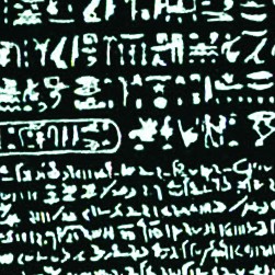 Language Extinction