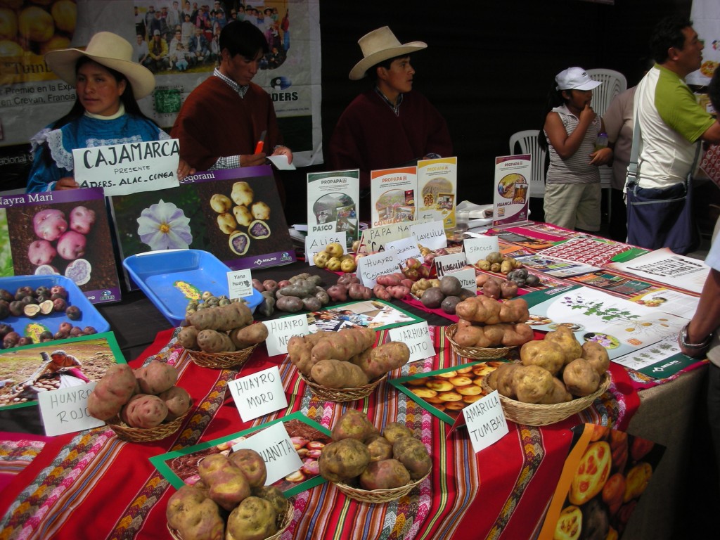 Lima, Peru: National Potato Day 2010