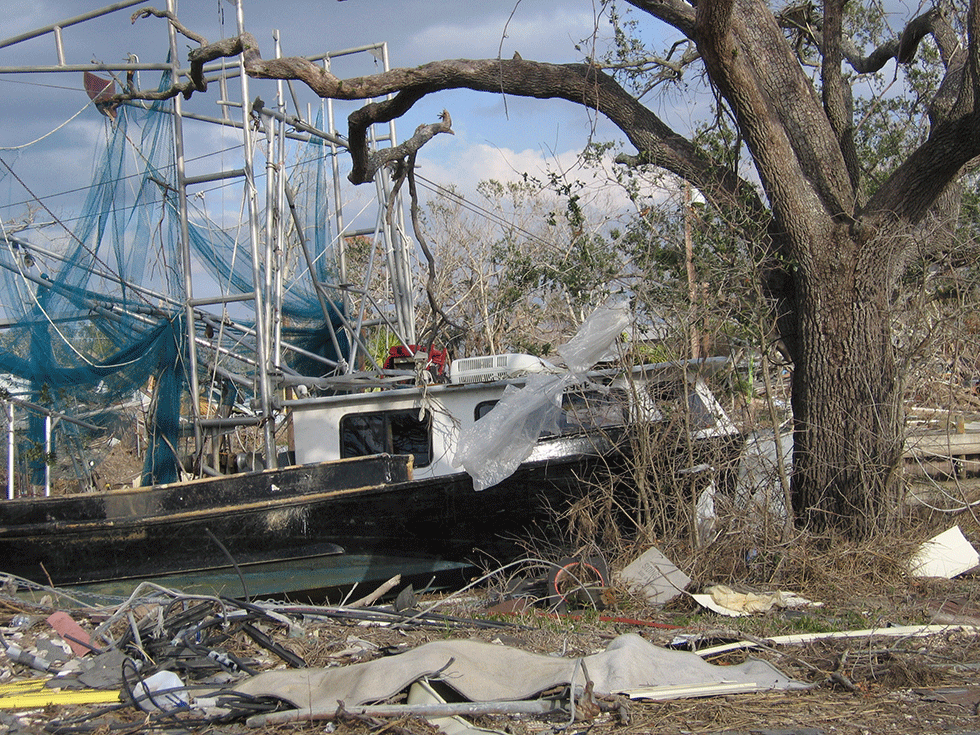 Bayou Destruction