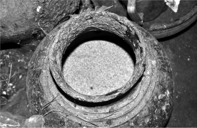 A Gamo beer jar with the characteristic interior erosion caused by beer production. Photo by John W. Arthur.