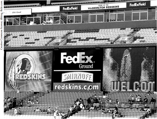 Redskins?: Sport Mascots, Indian Nations and White Racism - 1st Editio