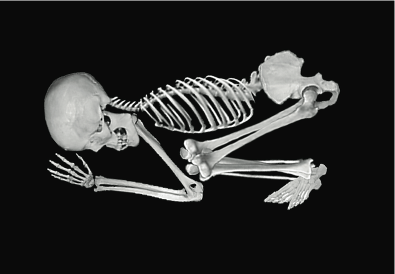 Computer visualization of the burial arrangement as discovered, working from generic photographs of bones. Courtesy of Peter Colby.